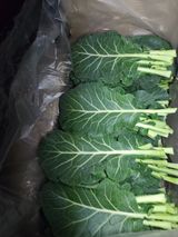 팜모닝 · 게시글 이미지