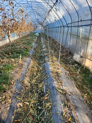 Preotu님의 기타작물 · 자유게시판 작성글 사진