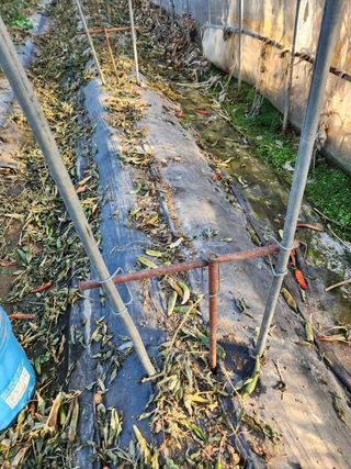 Preotu님의 기타작물 · 자유게시판 작성글 사진