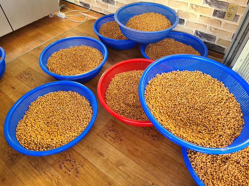 장터 상품 [국산콩으로. 만든 메주 1kg] 썸네일