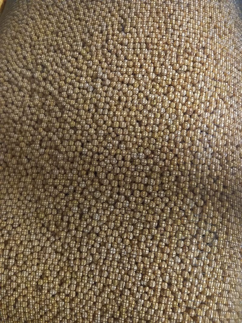 김태운 님의 장터 판매 상품 [햇콩(백태, 메주콩) 1말(8kg)을 택배비 포함해 6만원에 판매합니다.] 첨부 사진