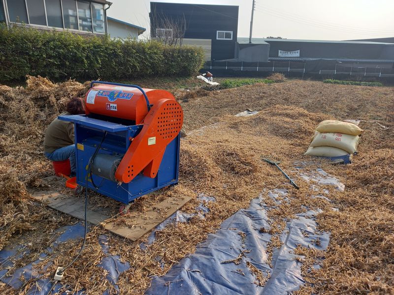 장터 상품 [햇콩(백태, 메주콩) 1말(8kg)을 택배비 포함해 6만원에 판매합니다.] 썸네일