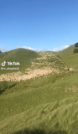 팜모닝 벼·자유게시판 게시글 이미지