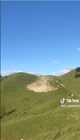 알 수 없음님의 벼 · 자유게시판 작성글 사진