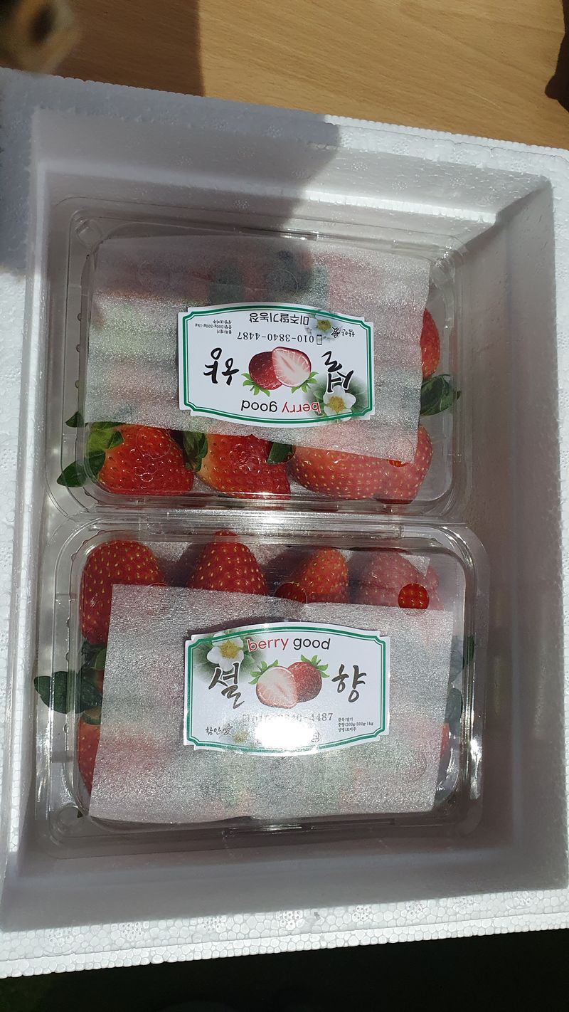 유창남님의 장터 판매 상품 [설향딸기산지직송1K(500g×2팩)] 첨부 사진