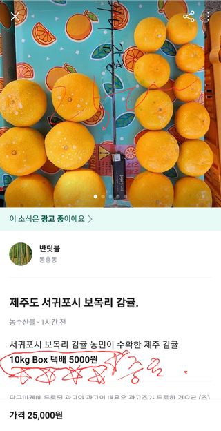 조현기 님의 귤 · 시세•판로 작성글 사진