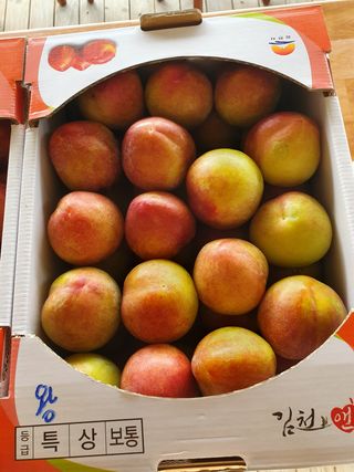 허재훈 님의 자두 · 자유게시판 작성글 사진