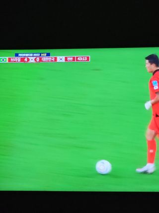 농부들의아지트님의 기타작물 · 자유게시판 작성글 사진