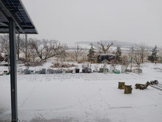 바위돌님의 기타작물 · 자유게시판 작성글 사진