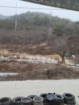 팜모닝 사과·일상 게시글 이미지