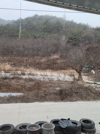 향기나무농장 님의 사과 · 일상 작성글 사진