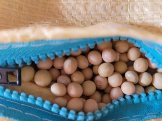 희찬모(정정자)님의 작성글 사진