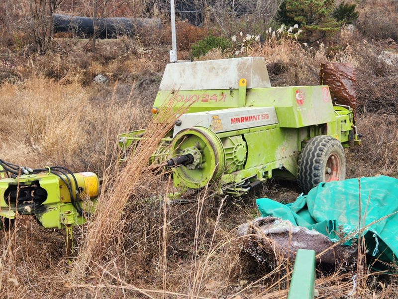 이정환님의 장터 판매 상품 [아세아사각베일러삽니다] 첨부 사진