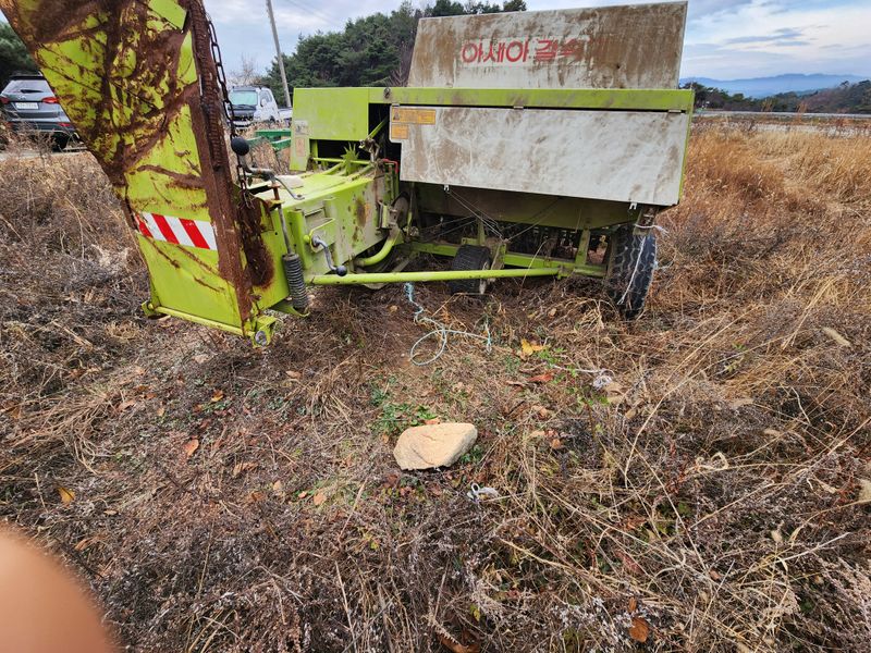 장터 상품 [아세아사각베일러삽니다] 썸네일