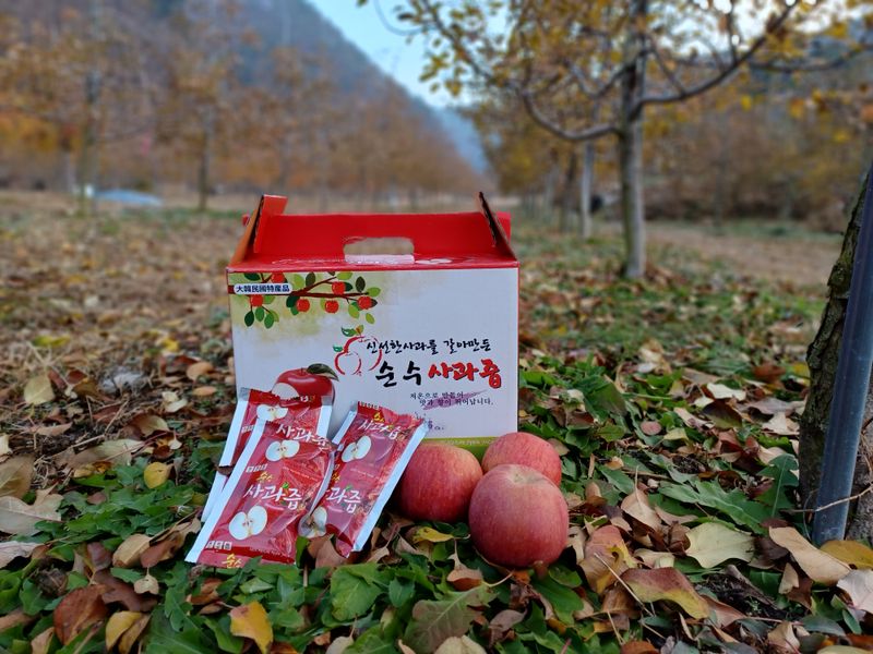 전락구님의 장터 판매 상품 [사과 5kg] 첨부 사진