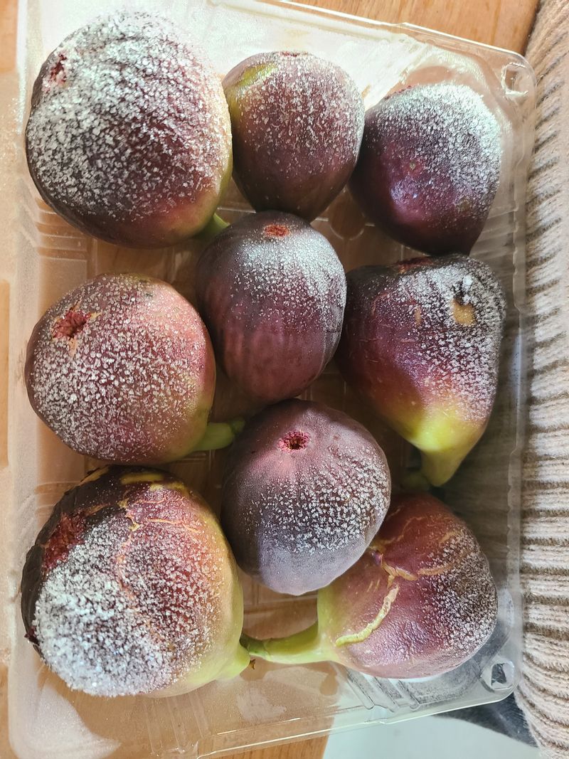 김우주님의 장터 판매 상품 [갈치젓 낙지젓 무화과] 첨부 사진