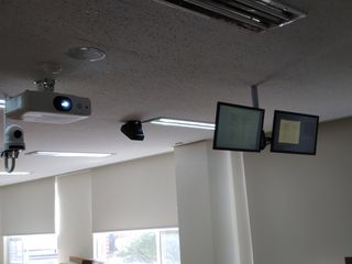 이인규님의 기타작물 · 병해충상담 작성글 사진