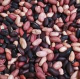 팜모닝 콩·자유게시판 게시글 이미지