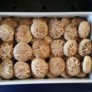 ㄱ 이환철 방자표고버섯님의 작성글 사진