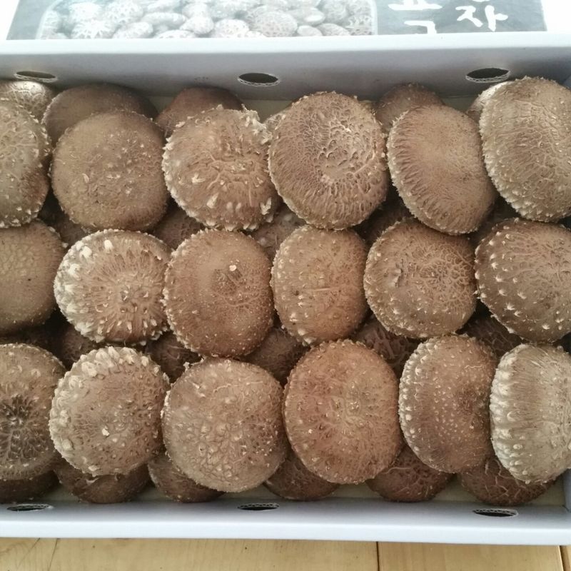 장터 상품 [유기농원목표고버섯 1kg] 썸네일