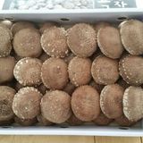 팜모닝 · 게시글 이미지