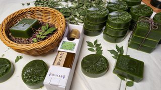 산초박님의 작성글 사진