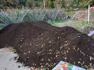 허재훈 님의 자두 · 자유게시판 작성글 사진