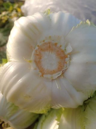 엄미애님의 작성글 사진