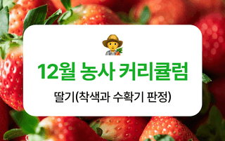 ๋ธ๊ธฐ ๋์ฌ๋์ฐ๋ฏธ๋์ ๋ธ๊ธฐ ยท ์ํ ์์ฑ๊ธ ์ฌ์ง