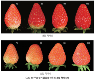 ๋ธ๊ธฐ ๋์ฌ๋์ฐ๋ฏธ๋์ ๋ธ๊ธฐ ยท ์ํ ์์ฑ๊ธ ์ฌ์ง