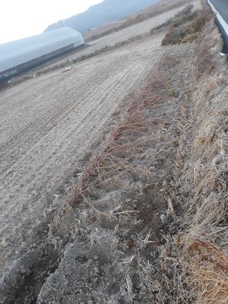 알 수 없음님의 포도 · 자유게시판 작성글 사진