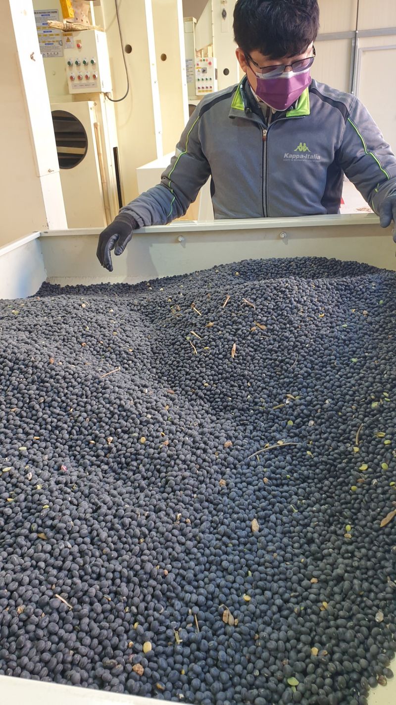 장터 상품 [서리태 (청자5호와 귀족서리태 )섞임] 썸네일