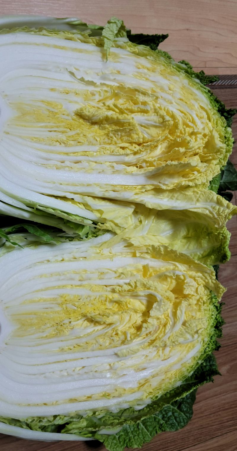 장터 상품 [친환경재배 배추 1포기] 썸네일