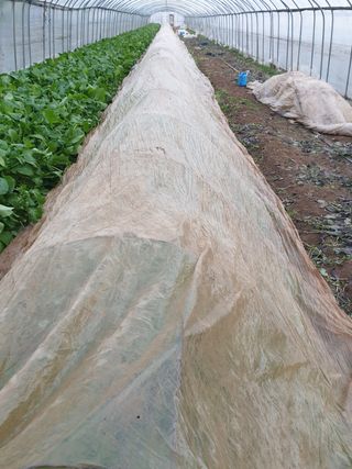 김화연님의 기타작물 · 자유게시판 작성글 사진