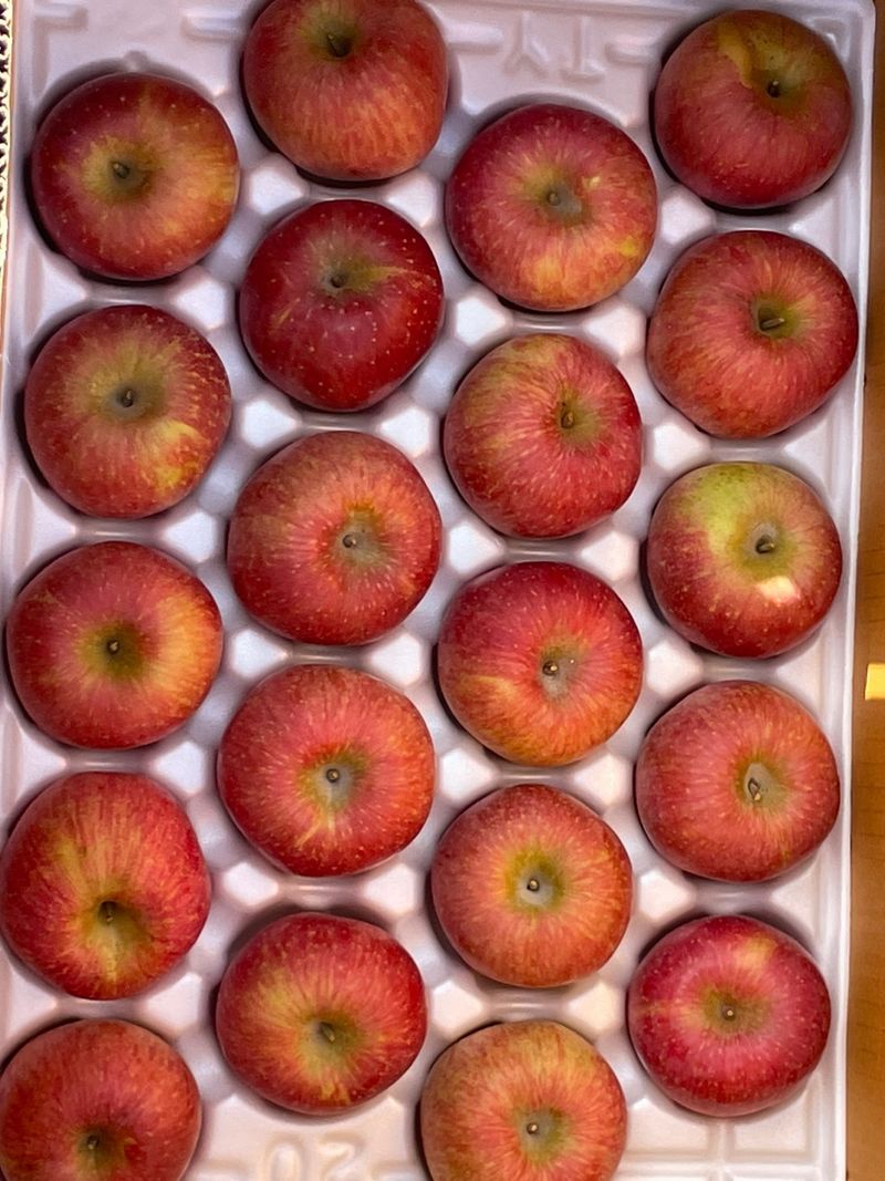 조순자님의 장터 판매 상품 [청송 부사 사과 5kg, 10kg] 첨부 사진