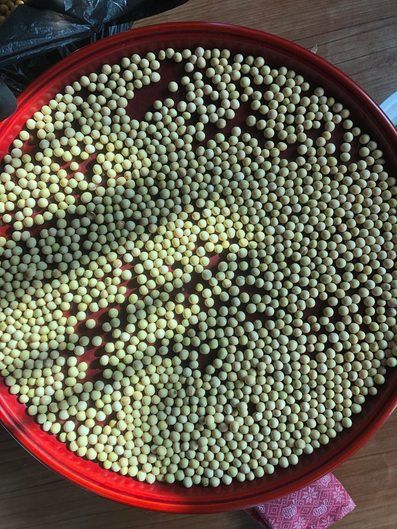 장터 상품 [메주콩 8kg] 썸네일