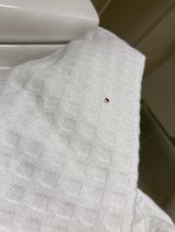 팜모닝 기타작물·병해충상담 게시글 이미지