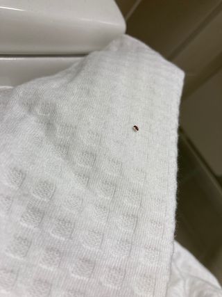 종다리님의 기타작물 · 병해충상담 작성글 사진