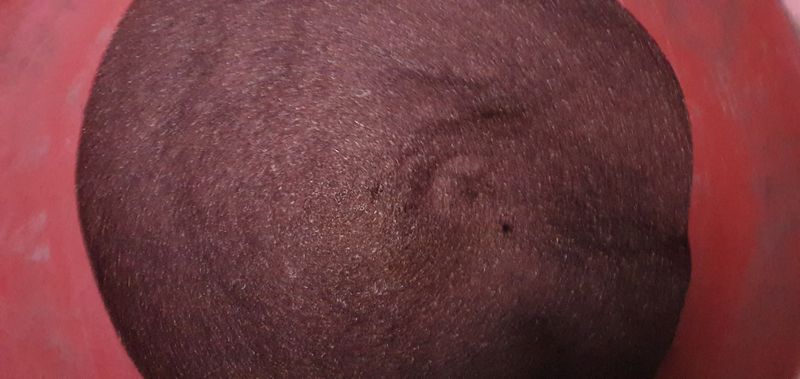 한상권님의 장터 판매 상품 [눈개승마 씨앗 판매  종이컵 1컵(50g)] 첨부 사진