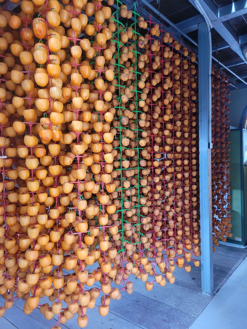 홍상옥님의 장터 판매 상품 [반건시 곶감] 첨부 사진