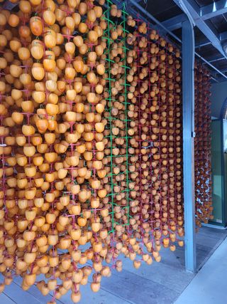 홍상옥님의 작성글 사진