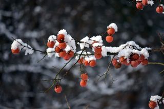 홍상옥님의 작성글 사진