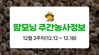 마늘 농사도우미님의 마늘 · 자연재해•동물피해 작성글 사진