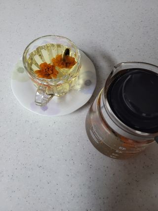 안드레아님의 기타작물 · 자유게시판 작성글 사진