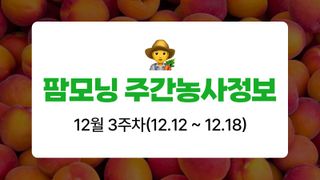 복숭아 농사도우미님의 복숭아 · 농사길잡이 작성글 사진