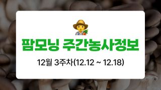 버섯 농사도우미님의 버섯 · 생장기 농작업 작성글 사진