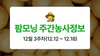 배 농사도우미님의 배·자연재해•동물피해 작성글 사진