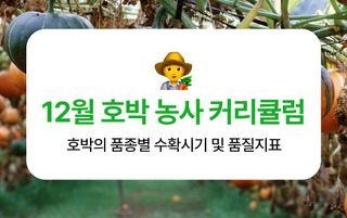 호박 농사도우미님의 호박 · 농사길잡이 작성글 사진