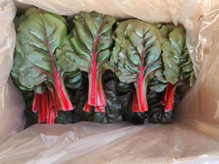 김지윤님의 작성글 사진