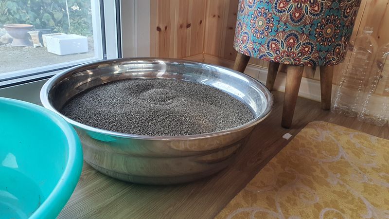 이춘기님의 장터 판매 상품 [대유들깨 거피 15kg] 첨부 사진